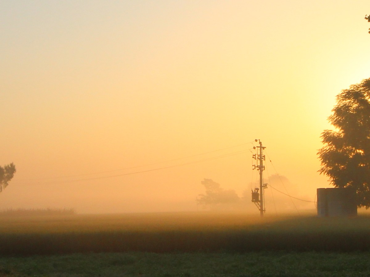 The Ruling of India – How External Forces Have Shaped Indian&nbsp;Agriculture